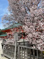 平安神宮の写真・動画_image_420003