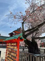 平安神宮の写真・動画_image_420007