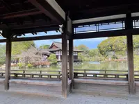 東神苑の写真・動画_image_420012