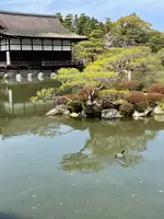 東神苑の写真・動画_image_420013