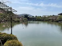 東神苑の写真・動画_image_420016
