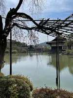 東神苑の写真・動画_image_420019