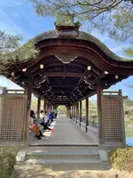 東神苑の写真・動画_image_420020