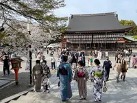 八坂神社の写真・動画_image_420104