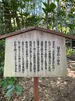 青蓮院門跡の写真・動画_image_420134