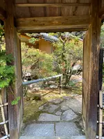 青蓮院門跡の写真・動画_image_420136