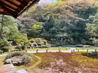 青蓮院門跡の写真・動画_image_420139