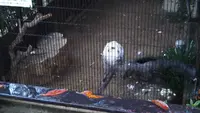 姫路市立動物園の写真・動画_image_420299