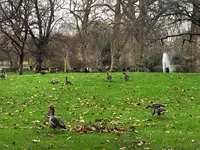 Green Park Stationの写真・動画_image_420345