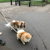 Green Park Stationの写真・動画_image_420346