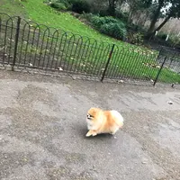 Green Park Stationの写真・動画_image_420347