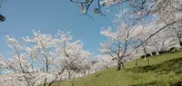 いきいきふれあいランドの写真・動画_image_420385