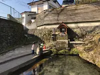 水源けやきの写真・動画_image_420841