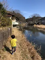 水源けやきの写真・動画_image_420843