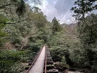 荒川登山口の写真・動画_image_420899