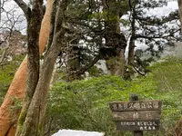 夫婦杉の写真・動画_image_420907