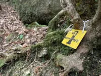 荒川登山口の写真・動画_image_420912