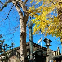 成田山新勝寺 総門の写真・動画_image_420978