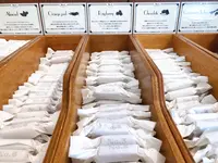 NUMBER SUGARの写真・動画_image_420995