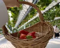 GREENARIUM(グリナリウム)の写真・動画_image_421044