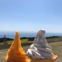 あわじ花さじきの写真・動画_image_421057
