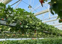 GREENARIUM(グリナリウム)の写真・動画_image_421060
