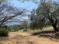 牛窓オリーブ園の写真・動画_image_421255