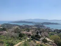 牛窓オリーブ園の写真・動画_image_421258