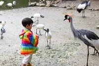 ネオパークオキナワの写真・動画_image_421273