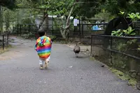 ネオパークオキナワの写真・動画_image_421274