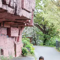 ネオパークオキナワの写真・動画_image_421276