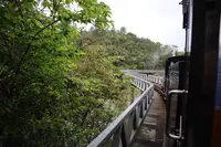 ネオパークオキナワの写真・動画_image_421284