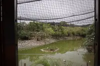 ネオパークオキナワの写真・動画_image_421285