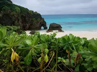 ハート岩(池間島)の写真・動画_image_421295