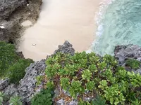 フナクス(池間ブロック)の写真・動画_image_421297