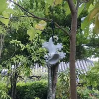 Jyomonya 白いシーサーの写真・動画_image_421307