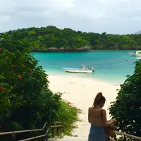 川平湾の写真・動画_image_421311