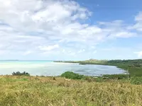 小浜島の写真・動画_image_421343