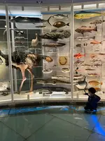 国立科学博物館の写真・動画_image_421348