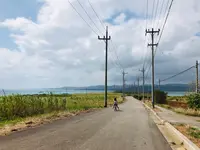 シュガーロードの写真・動画_image_421363