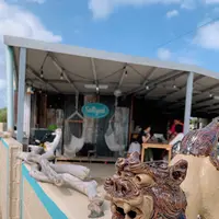 Saltyeedの写真・動画_image_421366