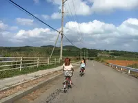 小浜島レンタカーの写真・動画_image_421376