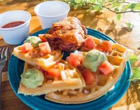 Saltyeedの写真・動画_image_421378