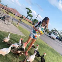 はいむるぶしの写真・動画_image_421380