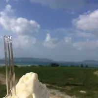 ミルミル本舗の写真・動画_image_421385