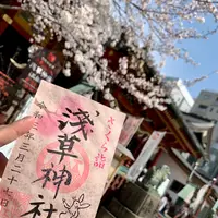 浅草神社（三社さま）の写真・動画_image_421405