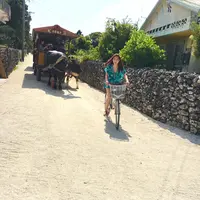 （有）竹富観光センターの写真・動画_image_421453