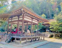 月読神社の写真・動画_image_421482