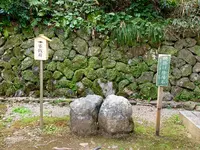 月読神社の写真・動画_image_421487