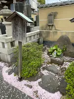 延台寺の写真・動画_image_421512